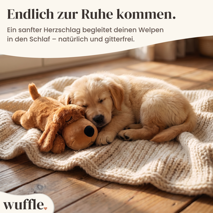 Wuffle – Beruhigender Herzschlag-Begleiter